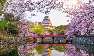 تور گروهی ژاپن نوروز 1403