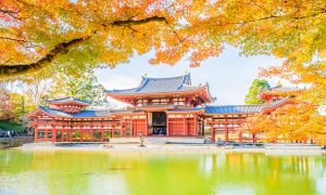 تور توکیو ژاپن