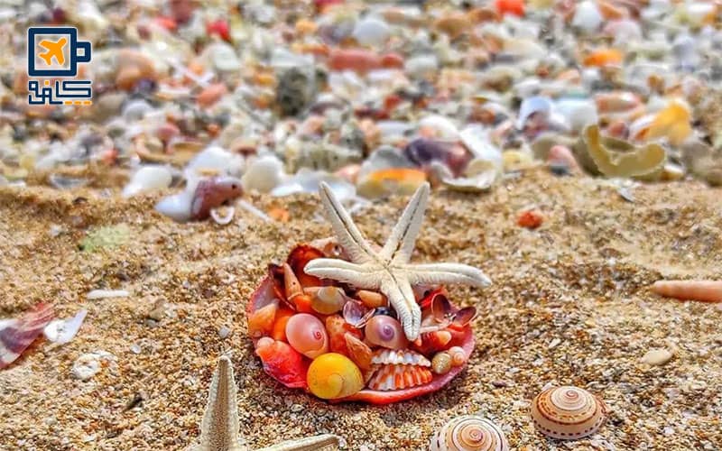 مرجع تورهای لحظه آخری قشم