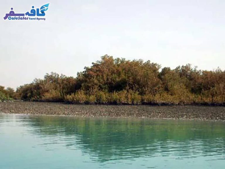 تور گروهی به جزیره ام الکرم