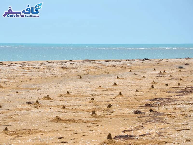 تور گروهی به جزیره تهمادون