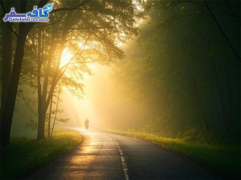 تصویری از جاده پرپیچوخم و سرسبز خلخال به اسالم، مناسب برای راهنمای سفر جادهای در ایران