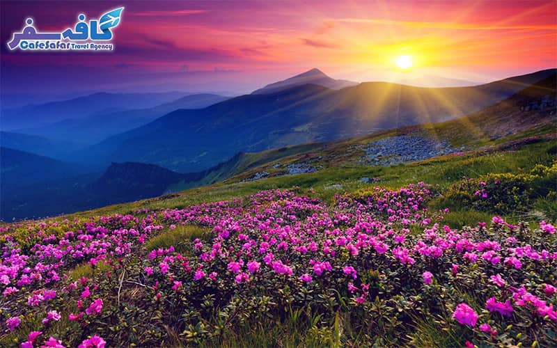 تصویری از ویرانههای کلیسای جامع زوارتنوتس با چشمانداز کوه آرارات، مناسب برای پکیجهای تور ارمنستان