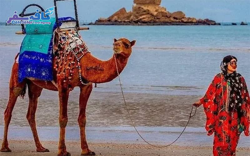 تصویری از سازه‌های شگفت‌انگیز دره ستارگان یا طبیعت صخره‌ای قشم، مناسب برای پکیج‌های تور قشم