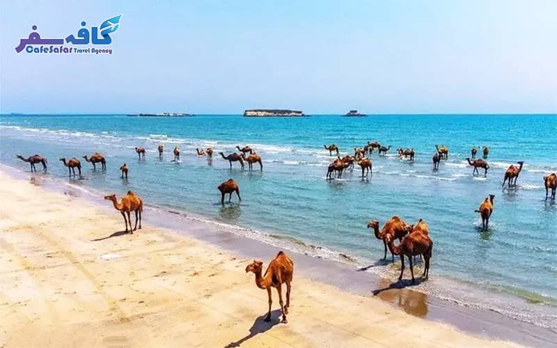 نمای زیبای قایق‌های سنتی و آب‌های نیلگون خلیج فارس در جزیره قشم، مناسب برای پکیج‌های تور قشم