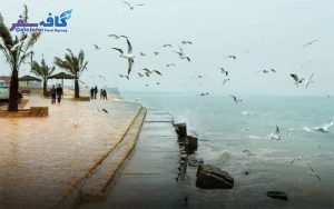 پوستر تبلیغاتی تور بوشهر لحظه آخری، نمای کافه‌های بافت تاریخی و موسیقی خیابانی، رزرو پکیج‌های مسافرتی جنوب در کافه سفر پاز