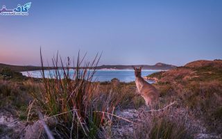 تور استرالیا | سفر به استرالیا | جاذبه های گردشگری استرالیا