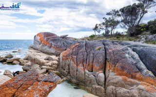 تور استرالیا | سفر به استرالیا | سواحل گلدکست و سیدنی