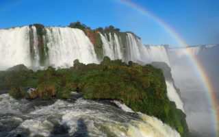 تجربه تور جنگلی با تورهای گروهی کافه سفر