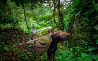 تور جنگل آمازون با سعید پاسبان