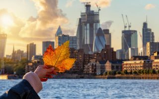 گروه جهانگردی و مهاجرتی کافه سفر