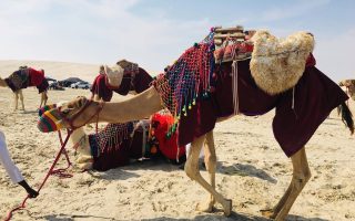 مرجع تورهای لحظه آخری چابهار