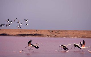 چابهار با سعید