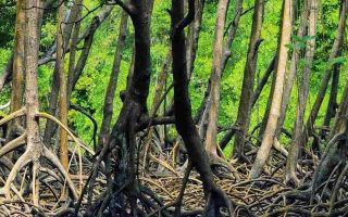 شب یلدا در چابهار