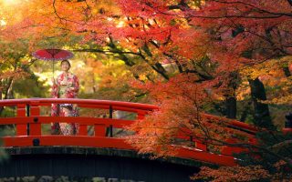 تور ژاپن توکیو کیوتو