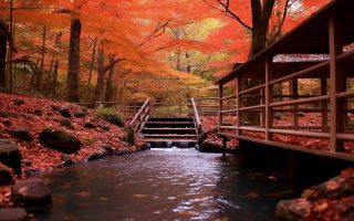 تور ژاپن قیمت ارزان