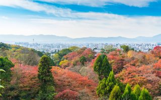 تور توکیو کافه سفر