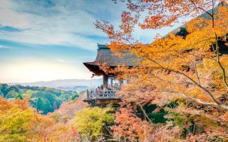 تور پائیزی ژاپن کافه سفر