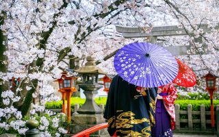 ژاپن کافه سفر