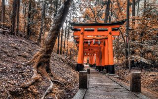 تور گروهی ژاپن