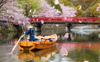 ژاپن جشنواره نوروزی