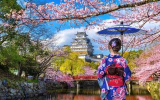 تور گروهی و نورورزی ژاپن