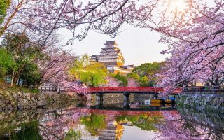 تور گروهی ژاپن نوروز 1403