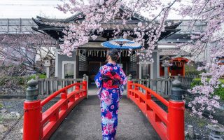 تور جشنواره شکوفه های گیلاس ژاپن