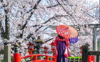 تور نوروزی ژاپن