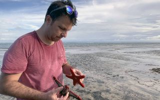 تصاویر تور سواحل کنیا کافه سفر