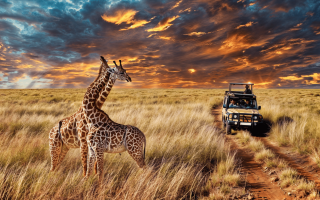 تور آفریقای جنوبی از مشهد