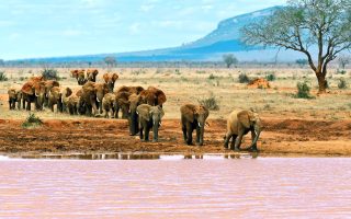 تور آفریقای جنوبی قیمت