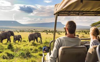 تور آفریقای جنوبی علی بابا