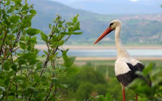 مرجع تورهای لحظه آخری کرمانشاه و لرستان