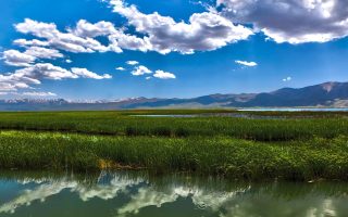 مرجع تورهای لحظه آخری کردستان