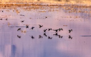 مرجع تورهای آبادان