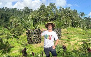 شالیزارهای پوکت