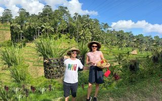 تصویر تورهای قبلی بالی در کشتزارهای برنج
