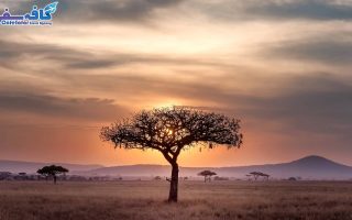 تور آفریقا جنوبی