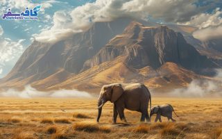 SriLanka Group Tour By CafeSafar 07