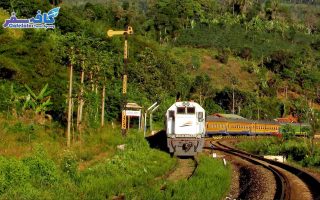 SriLanka Group Tour By CafeSafar 13