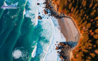 SriLanka Group Tour By CafeSafar 14