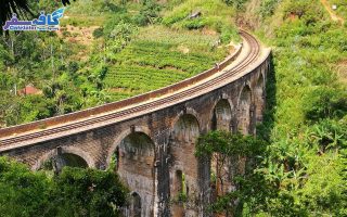 SriLanka Group Tour By CafeSafar 17