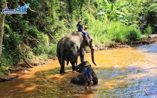 SriLanka Group Tour By CafeSafar 20