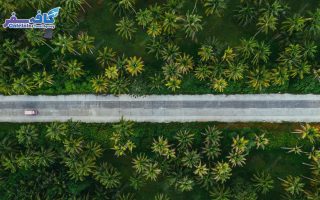 SriLanka Group Tour By CafeSafar 21