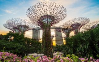 تور گروهی جنوب شرق آسیا