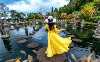 زنی با لباس زرد پر جنب و جوش و کلاه لبه‌دار روی سکوی سنگی در میان برکه‌ای آرام پر از ماهی‌های بزرگ کوی ایستاده است. اطراف او مجسمه های سنگی و فضای سبز سرسبز با بتکده ای بلند در پس زمینه زیر آسمان ابری قابل مشاهده است که یادآور تور گروهی پوکت است.