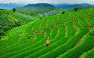 تور پائیزی ویتنام